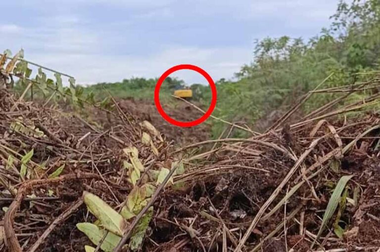 Diduga Ada Alat Berat Beroperasi Didalam Kawasan Hutan Blok 14 Pasar 20 Desa Perbangunan Sei Kepayang